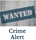 Wanted Logo